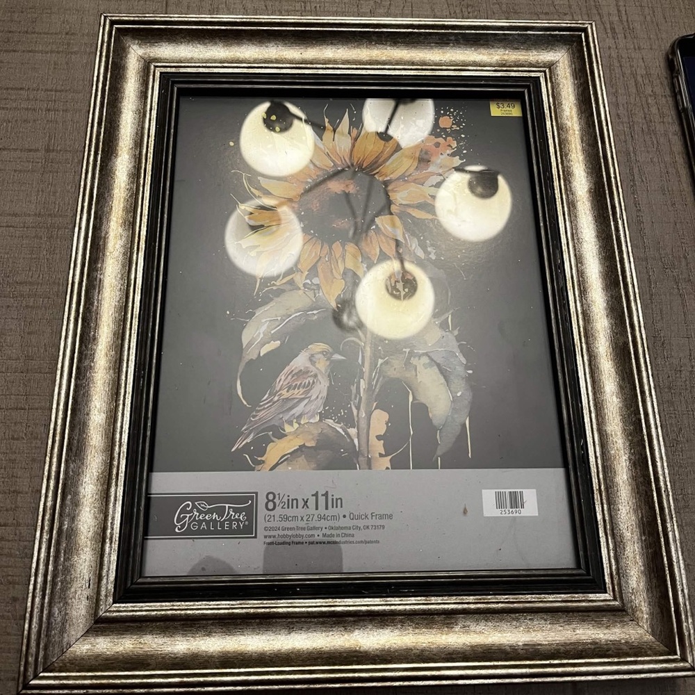 Black and Gold Picture Frame